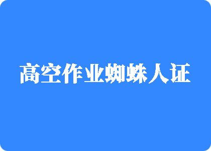 超级大美女操大逼网站高空作业蜘蛛人证